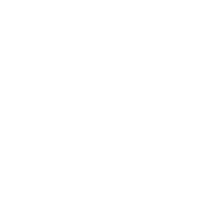 Label Maitre artisan